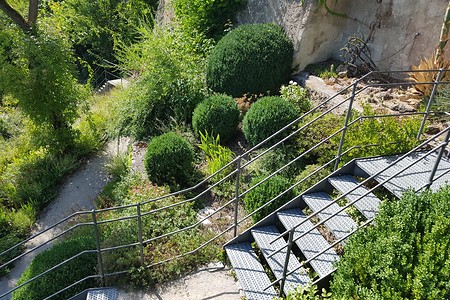 Terrassengarten Hollfeld &ndash; (11.08.2019, S. Dassler &copy;&nbsp;VGN GmbH)