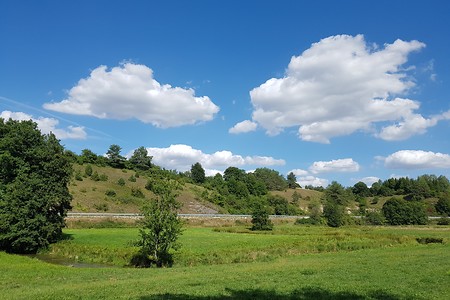 Wachholderhänge &ndash; (11.08.2019, S. Dassler &copy;&nbsp;VGN GmbH)