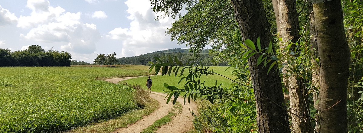 Wanderweg &ndash;  (04.08.2019, S. Dassler &copy;&nbsp;VGN GmbH)