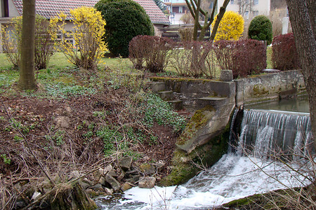 Zenn &ndash; (10.04.2012, Rück &copy;&nbsp;Rück)