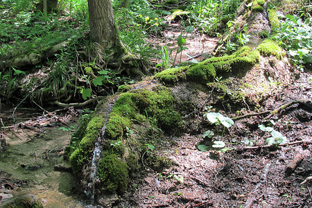 Steinerne Rinne &ndash; (20.05.2014, VGN &copy;&nbsp;VGN GmbH)