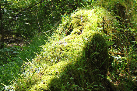 Ablagerungen &ndash; (28.09.2015, VGN &copy;&nbsp;VGN GmbH)