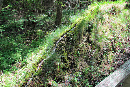 Steinerne Rinne II &ndash; (20.05.2014, VGN &copy;&nbsp;VGN GmbH)