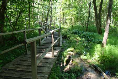 Holzsteg an der Rinne &ndash; (28.09.2015, VGN &copy;&nbsp;VGN GmbH)