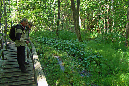 An der Steinernen Rinne &ndash; (28.09.2015, VGN &copy;&nbsp;VGN GmbH)