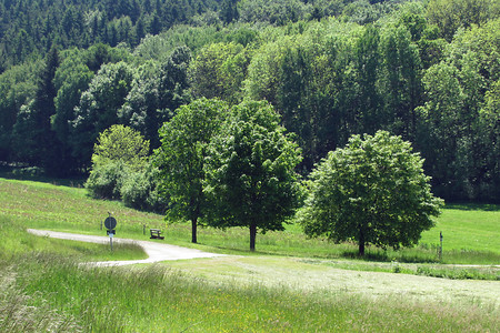 Weg &ndash; (20.05.2014, VGN &copy;&nbsp;VGN GmbH)