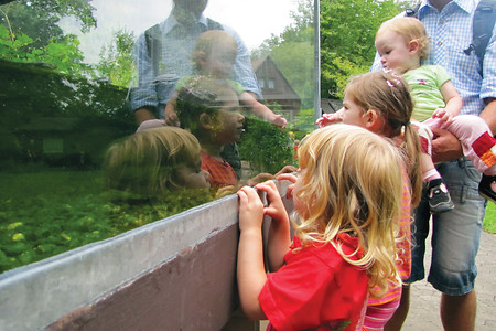 Kleine Tropenforscher &ndash; (VGN &copy;&nbsp;VGN GmbH)