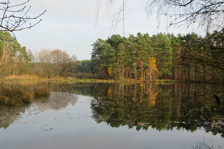 Herbst am Dechsendorfer Weiher &ndash; (VGN &copy;&nbsp;VGN GmbH)