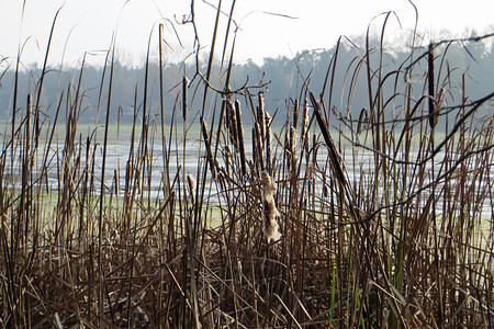 Novembertag &ndash; (VGN &copy;&nbsp;VGN GmbH)