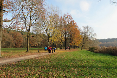 Uferweg Dechsendorfer Weiher &ndash; (VGN &copy;&nbsp;VGN GmbH)