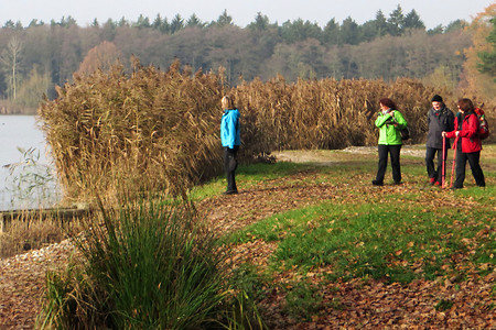 Regnitz im Herbst &ndash; (VGN &copy;&nbsp;VGN GmbH)