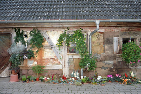 Seitenansicht Wohnstallhaus &ndash; (VGN &copy;&nbsp;VGN GmbH)