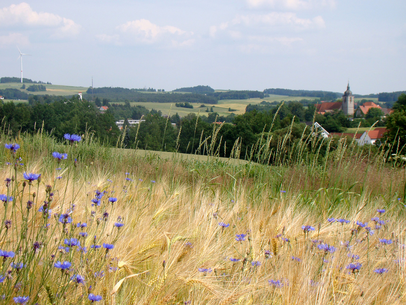 Blick auf Creußen &ndash;  (VGN &copy;&nbsp;VGN GmbH)