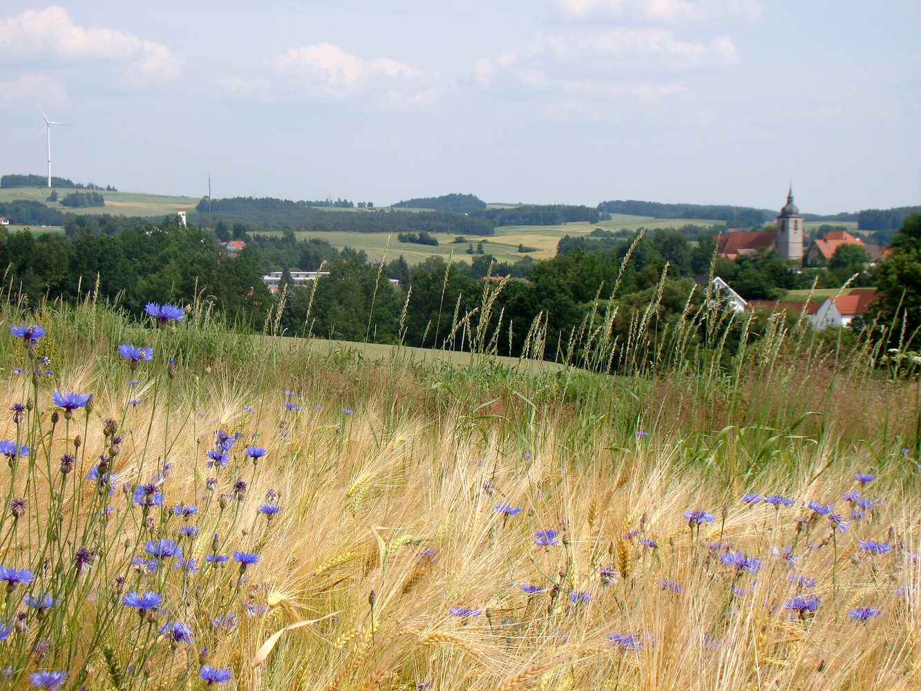 Blick auf Creußen &ndash;  (VGN &copy;&nbsp;VGN GmbH)