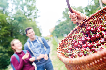 Kirschkorb &ndash; (17.02.2020, A. Gaspar-Klein &copy;&nbsp;A. Gaspar-Klein)