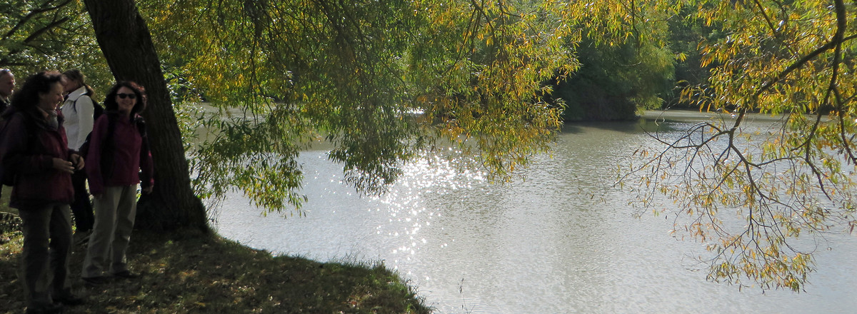 Am Wolfsee &ndash;  (10.11.2016, VGN &copy;&nbsp;VGN GmbH)