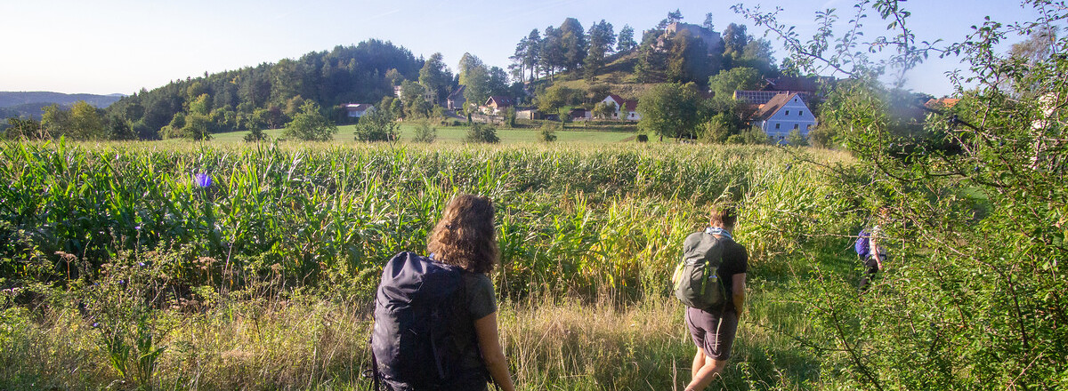 Wanderinnen auf Tour &ndash;  (27.09.2020, U. Buescher &copy;&nbsp;VGN GmbH)