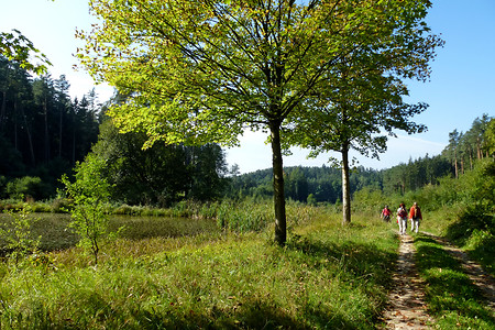 Auf dem Weg nach Rauschenberg &ndash; (28.09.2013, VGN &copy;&nbsp;VGN GmbH)