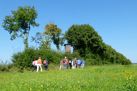 Wiesenweg nach Gutenstetten &ndash; (28.09.2013, VGN &copy;&nbsp;VGN GmbH)
