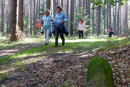 Wegbegleiter: Alte Grenzsteine &ndash; (28.09.2013, VGN &copy;&nbsp;VGN GmbH)