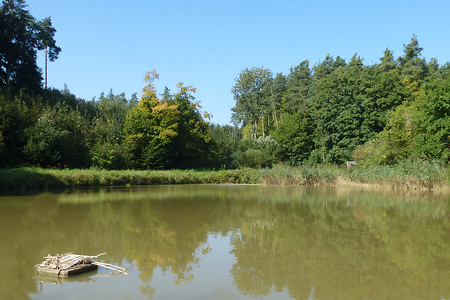 Im Karpfenland &ndash; (VGN &copy;&nbsp;VGN GmbH)