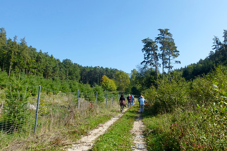 Auf dem Weg nach Rauschenberg &ndash; (28.09.2013, VGN &copy;&nbsp;VGN GmbH)