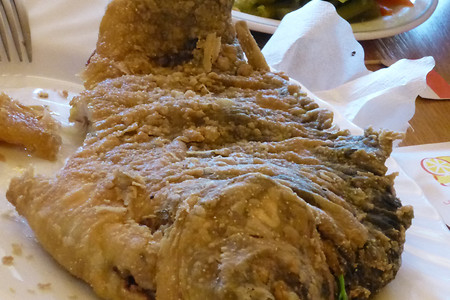 Gebackener Karpfen &ndash; (VGN &copy;&nbsp;VGN GmbH)