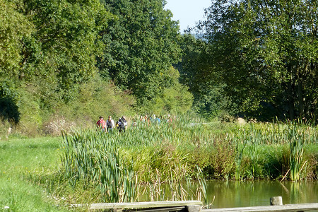 Karpfenland &ndash; (28.09.2013, VGN &copy;&nbsp;VGN GmbH)