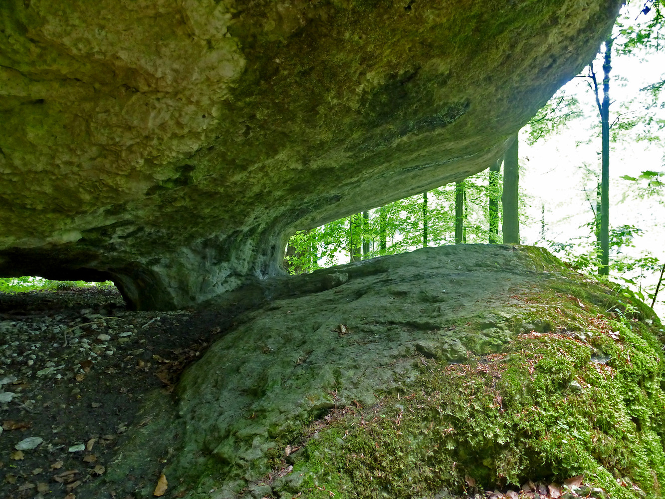 Weissingkuppe &ndash;  (13.06.2013, VGN &copy;&nbsp;VGN GmbH)