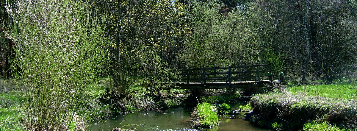 In den Flussauen der Fränkischen Rezat &ndash;  (10.04.2005, Rück &copy;&nbsp;Rück)