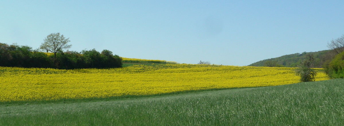Vom Landschaftsgarten auf die Höhen über Eichelsberg &ndash;  (23.04.2020, G. Härer &copy;&nbsp;VGN GmbH)