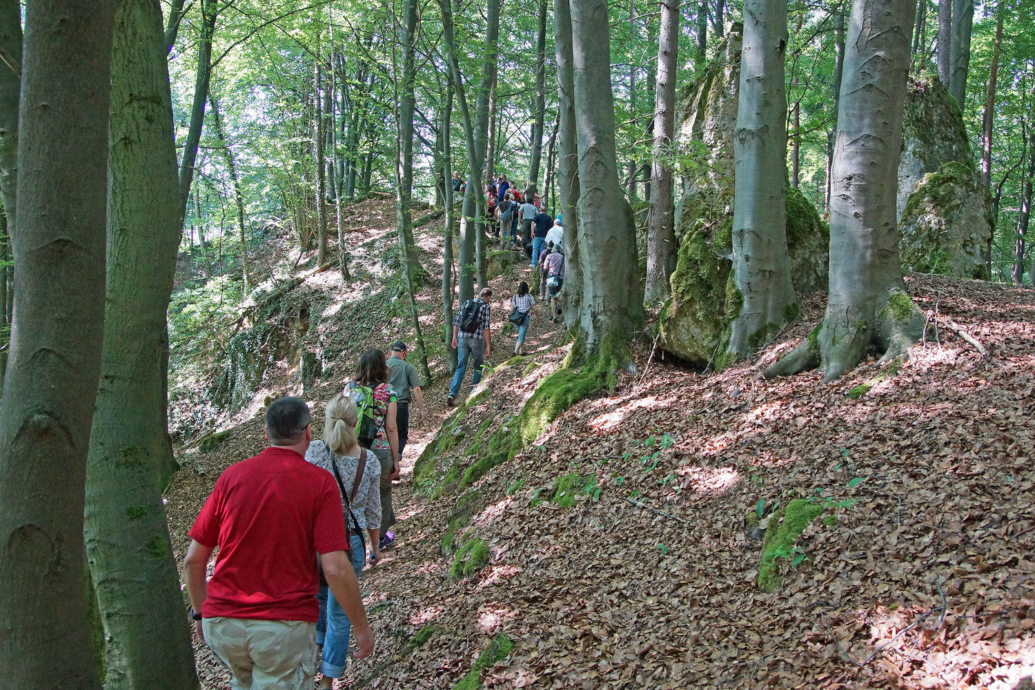 Felsgrat vor Etzelwang &ndash;  (24.07.2014, VGN &copy;&nbsp;VGN GmbH)