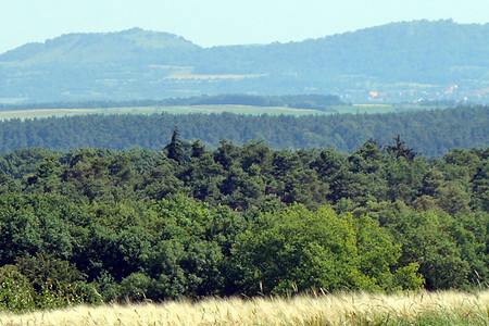 (VGN &copy;&nbsp;VGN GmbH)