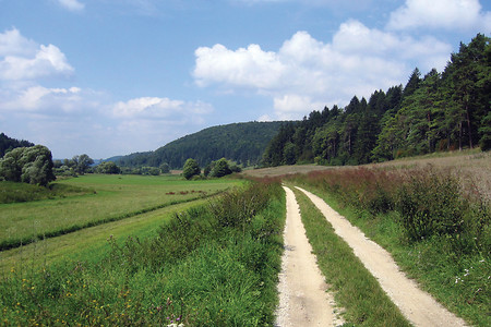 Auf dem Weg zurück nach Schambach &ndash; (VGN &copy;&nbsp;VGN GmbH)