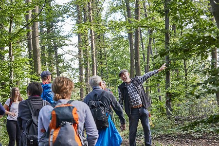 Führung im Wald &ndash; (03.10.2020, Andrea Gaspar-Klein &copy;&nbsp;VGN GmbH)