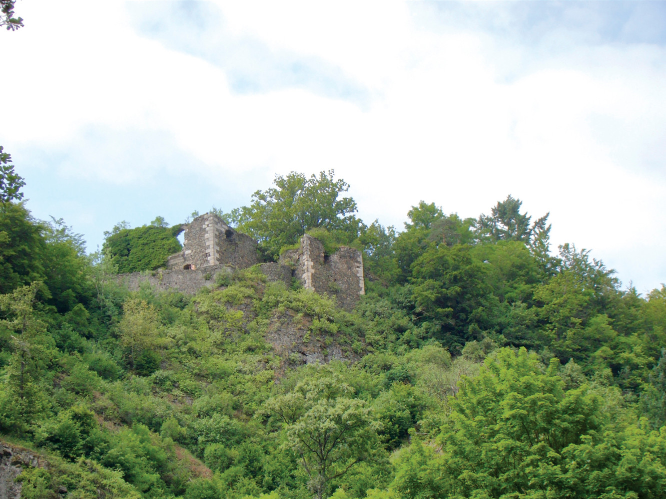 Ruine Hohenberneck &ndash;  (VGN &copy;&nbsp;VGN GmbH)