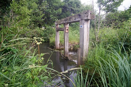 Wehr in der Fränkischen Schweiz &ndash; (10.04.2020, U. Büscher &copy;&nbsp;VGN GmbH)