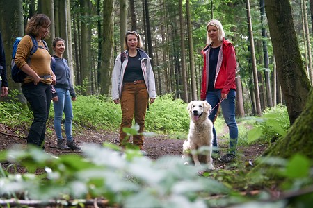 Wandergruppe mt Hund &ndash; (10.04.2020, U. Büscher &copy;&nbsp;VGN GmbH)