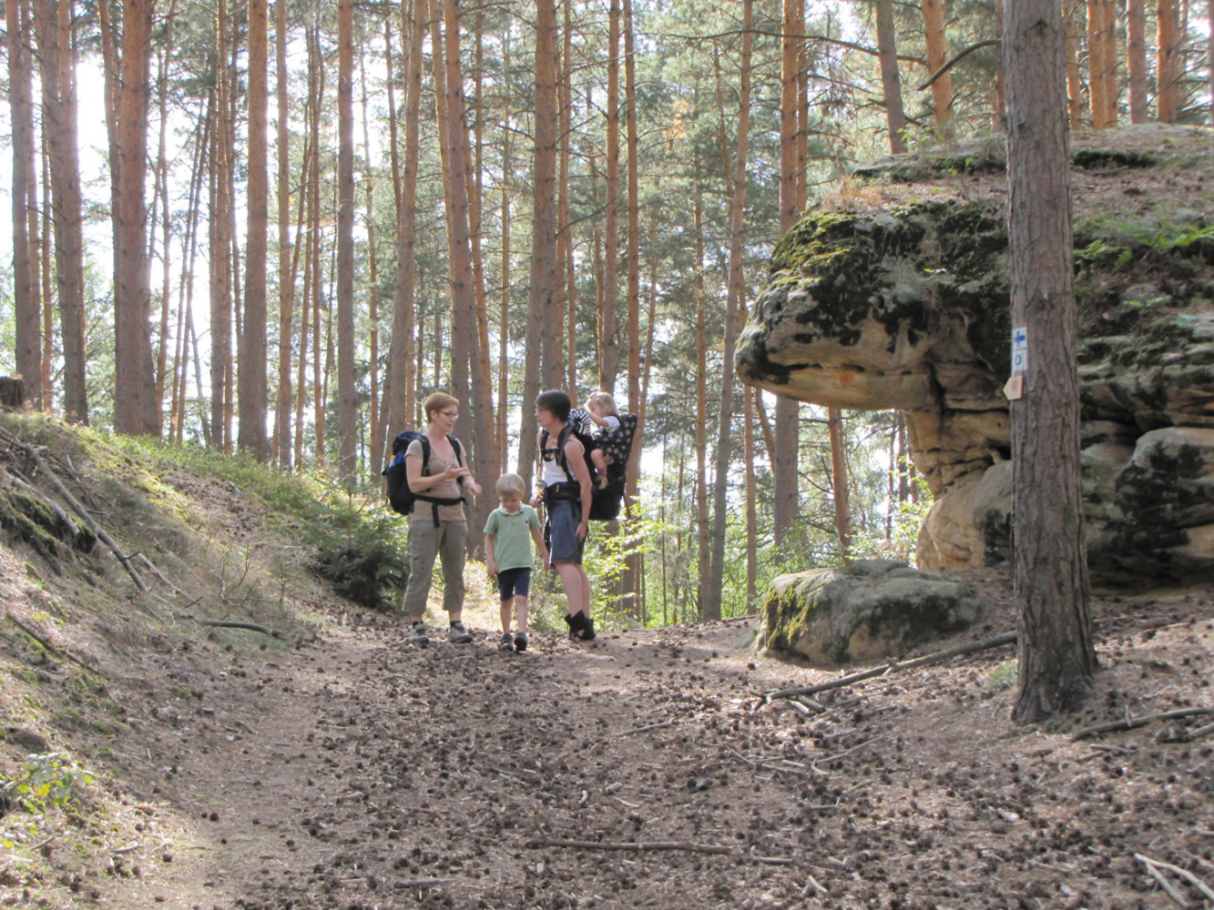 Unterwegs &ndash;  (08.09.2012, VGN &copy;&nbsp;VGN GmbH)