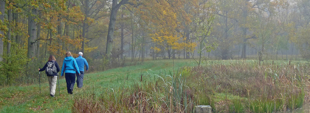 Herbststimmung am Leppachbiotop &ndash;  (20.10.2012, VGN &copy;&nbsp;VGN GmbH)