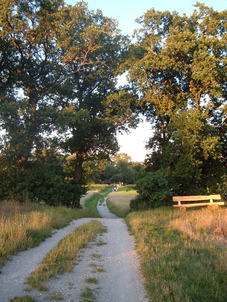 Weg nach Weiher &ndash;  (01.10.2015, VGN &copy;&nbsp;VGN GmbH)