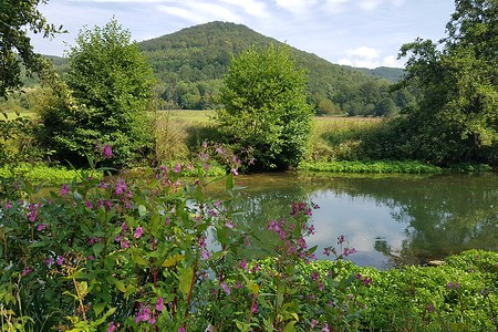 Wiesent &ndash; (28.08.2019, S. Dassler &copy;&nbsp;VGN GmbH)