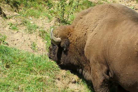 Wiesent &ndash; (29.09.2015, VGN &copy;&nbsp;VGN GmbH)