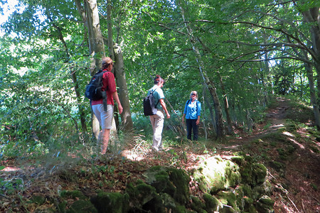 Höhenweg &ndash; (29.09.2015, VGN &copy;&nbsp;VGN GmbH)