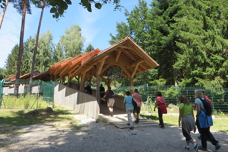 Im Wildpark &ndash; (29.09.2015, VGN &copy;&nbsp;VGN GmbH)