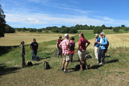 Rast in der Natur &ndash; (29.09.2015, VGN &copy;&nbsp;VGN GmbH)