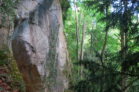 Weg zur Frauenhoehle &ndash; (29.09.2015, VGN &copy;&nbsp;VGN GmbH)