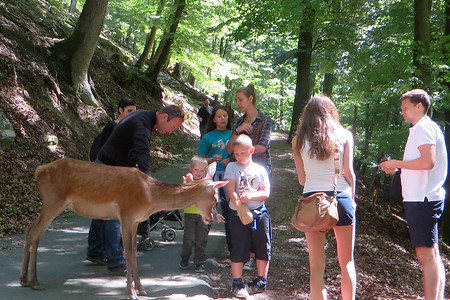 Gegenverkehr &ndash; (29.09.2015, VGN &copy;&nbsp;VGN GmbH)