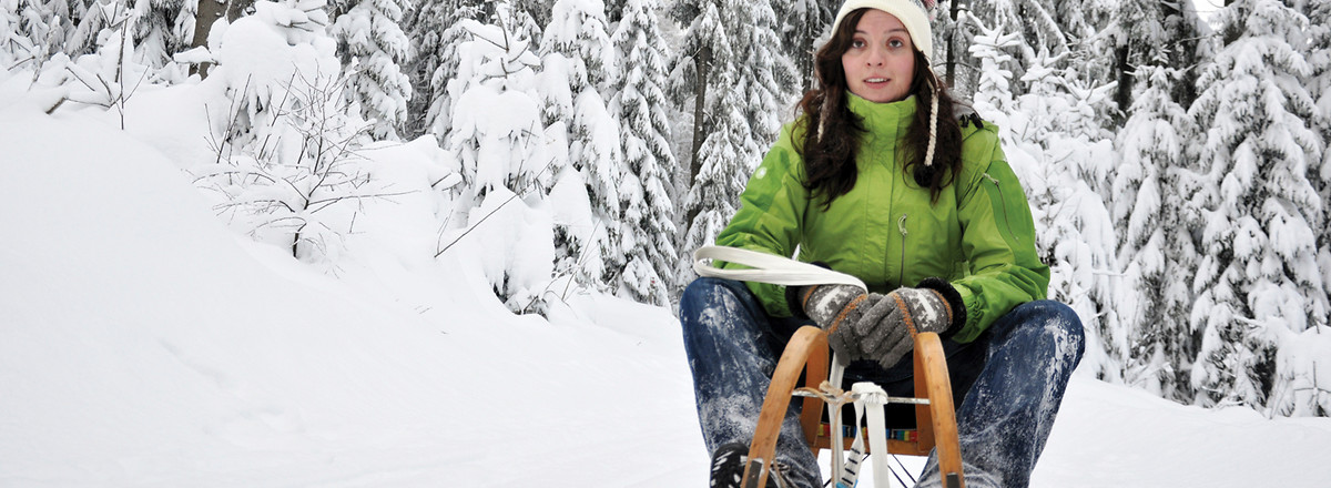 Schlittenfahrt &ndash;  (18.12.2010, Michael Sawluk &copy;&nbsp;Michael Sawluk)