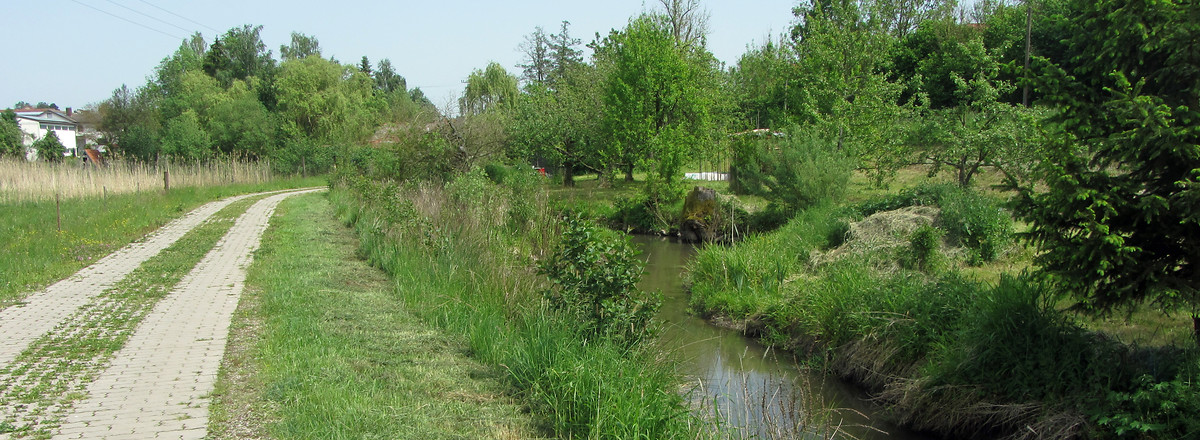 Bei Walsdorf &ndash;  (Rück &copy;&nbsp;Rück)